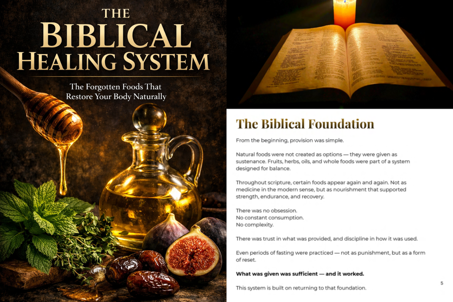 The Biblical Healing System™